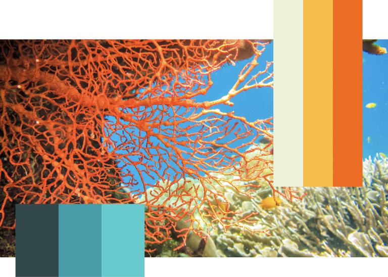 Color inspiration palette for Perfect Afternoon