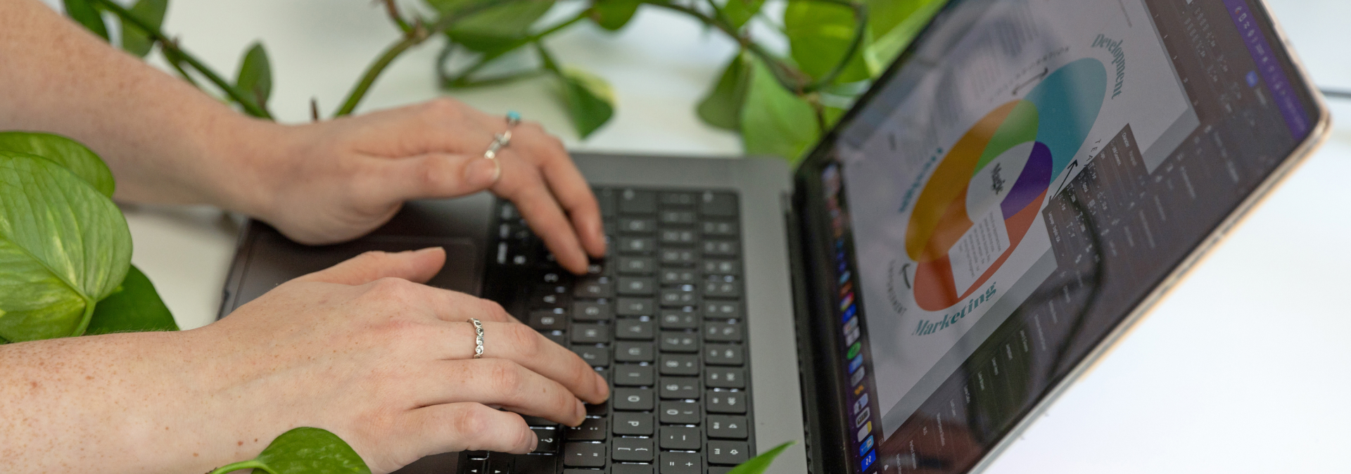 Person using laptop to build web chart