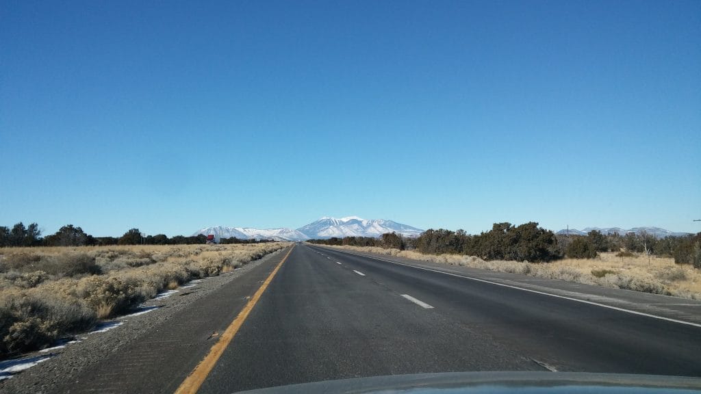 Google's Road to Recovery